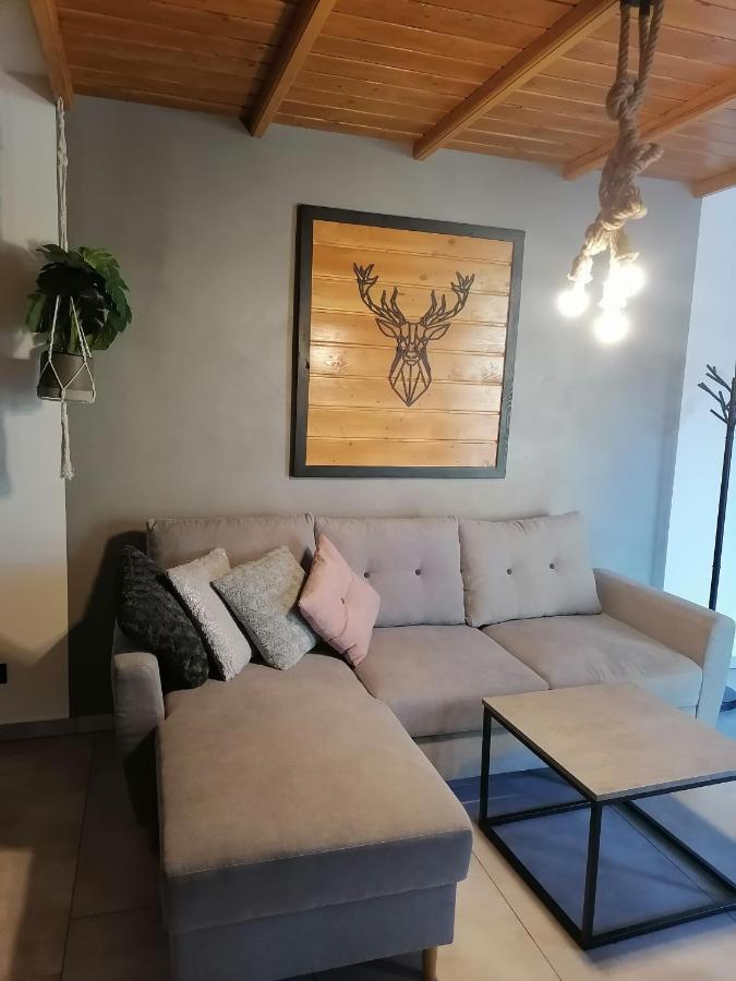 Apartament Jelen Apartment Złotów Bagian luar foto