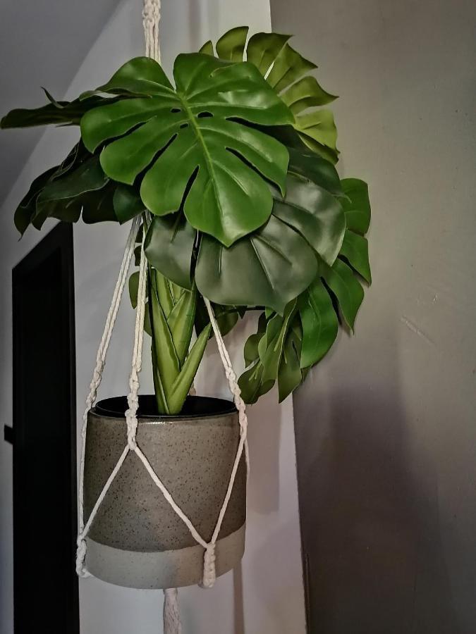 Apartament Jelen Apartment Złotów Bagian luar foto