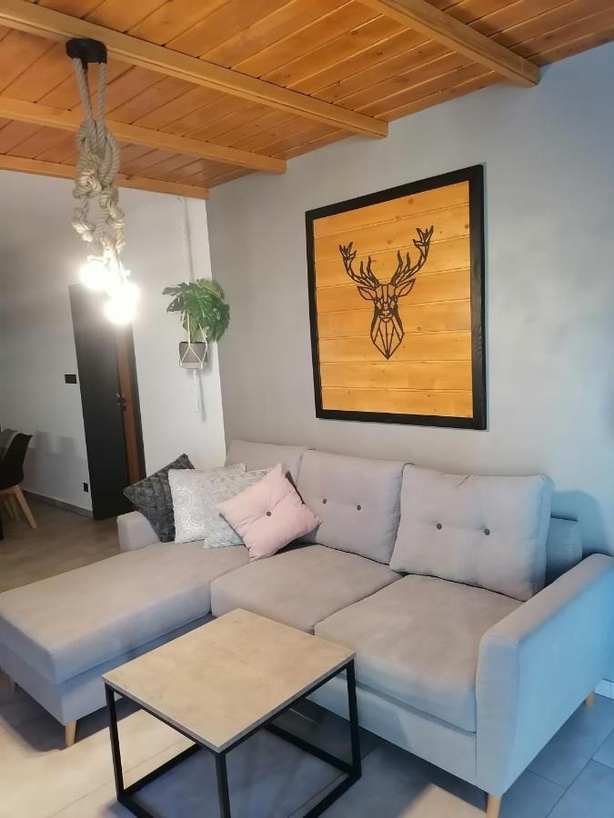 Apartament Jelen Apartment Złotów Bagian luar foto